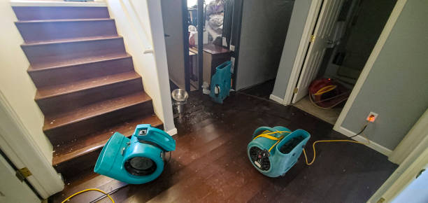  Stratford, CA Water damage restoration Pros