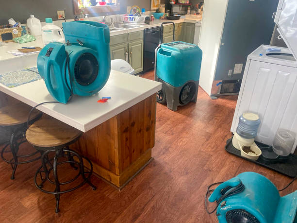 Best Carpet water damage restoration  in Stratford, CA