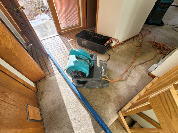 Best Ceiling water damage repair  in Stratford, CA