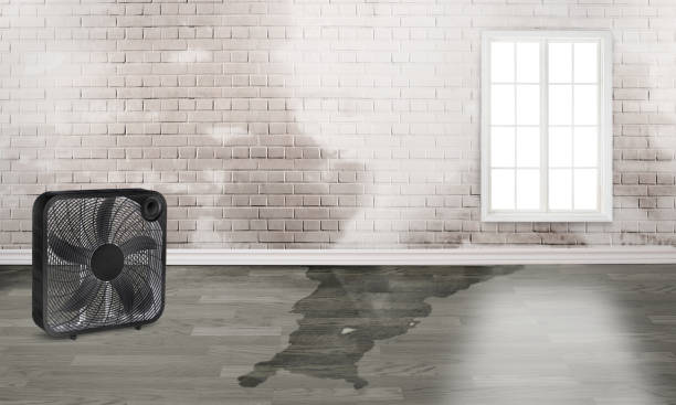 Best Commercial water damage restoration  in Stratford, CA
